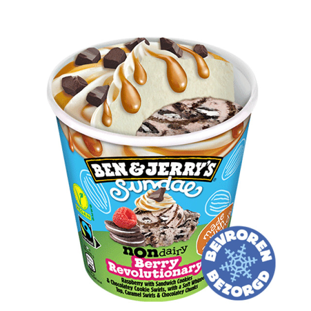 Ben & Jerry's Sundae Revolutionary 427ml bij Besteldesk.nl